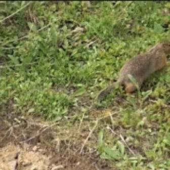 Screen Shot 2016-07-14 at 8.17.00 PM.jpg